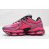 Кроссовки New Balance ABZORB 2000 Dragon Berry